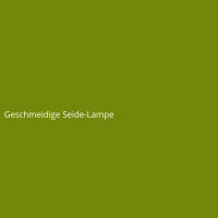 Geschmeidige Seide-Lampe