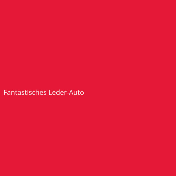 Fantastisches Leder-Auto