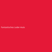 Fantastisches Leder-Auto